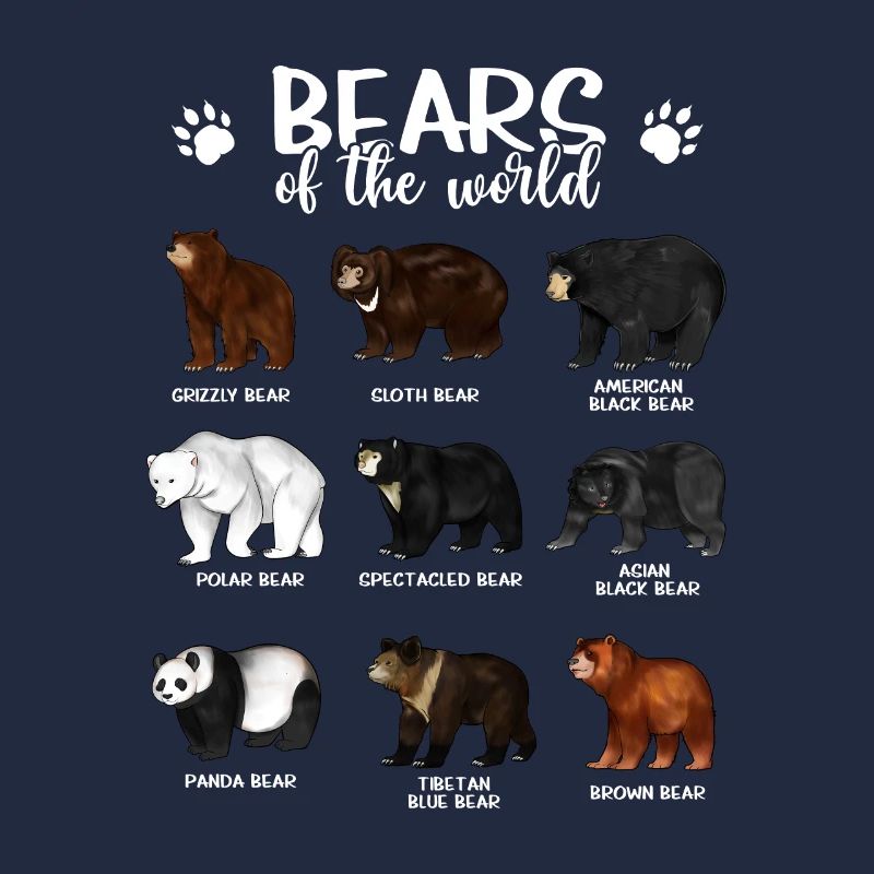 Ours - Ours du monde