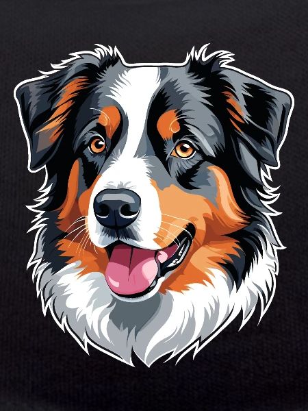 Australischer Schäferhund