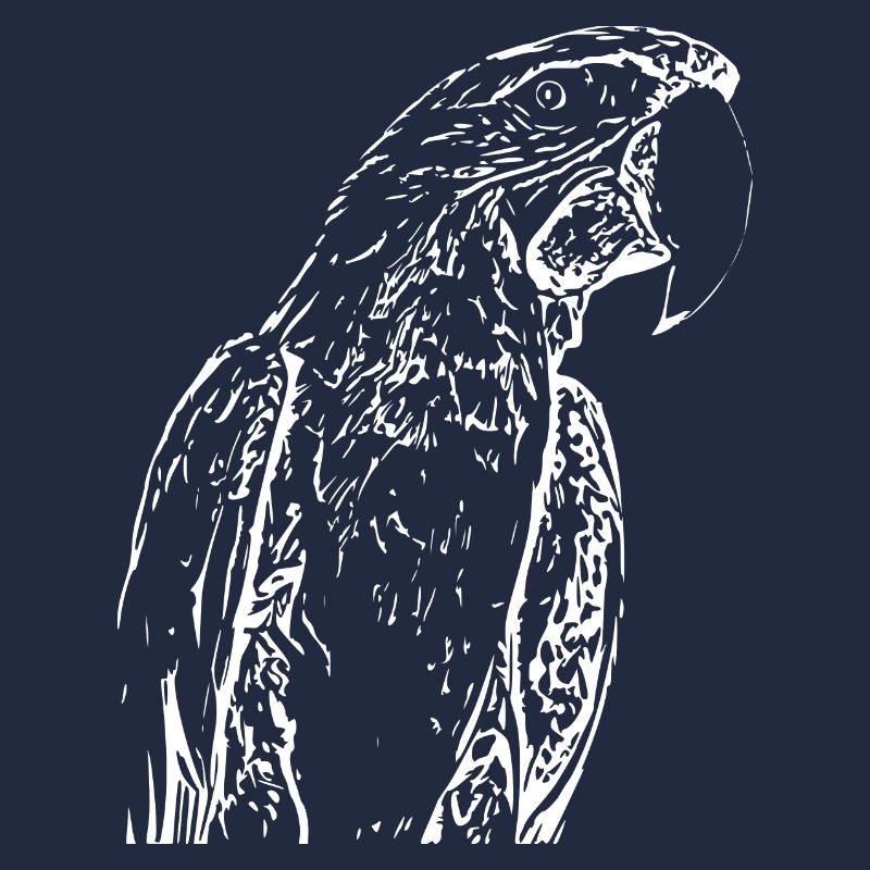 Perroquets Oiseau Blanc