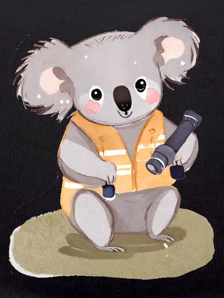 Adventurer Koala Finn