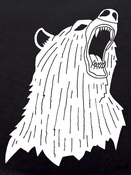 Angry Polar Bear
