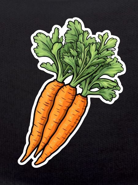 Carrot bunch