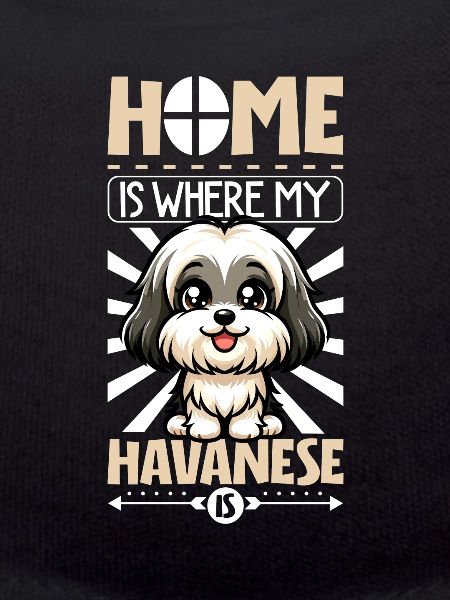 Home - Havanese