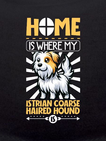 Home - Rough-haired Istrian Hound