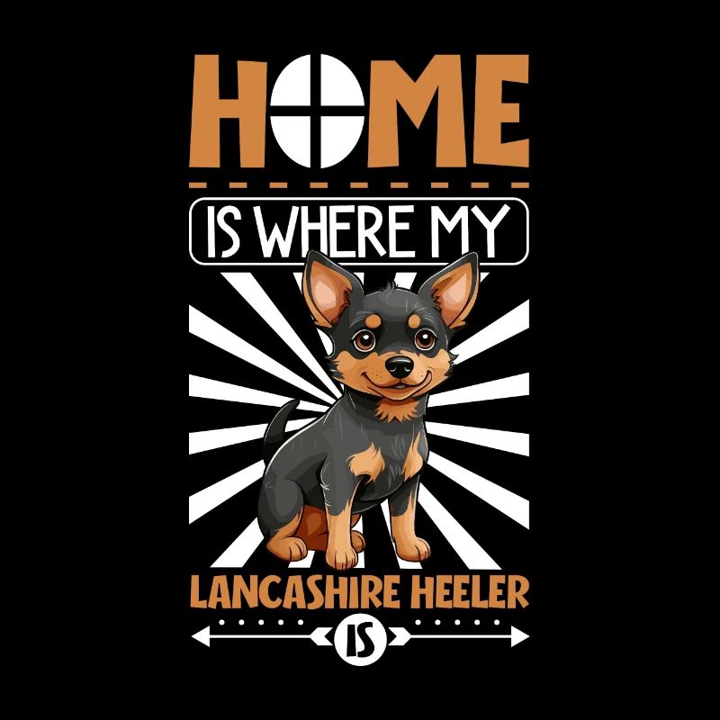 Zuhause - Lancashire Heeler