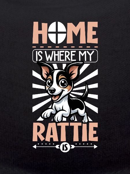 Zuhause - Rat Terrier
