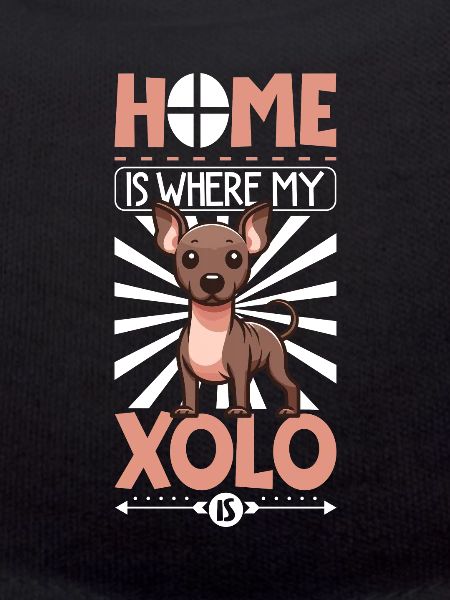 Home - Xoloitzcuintle
