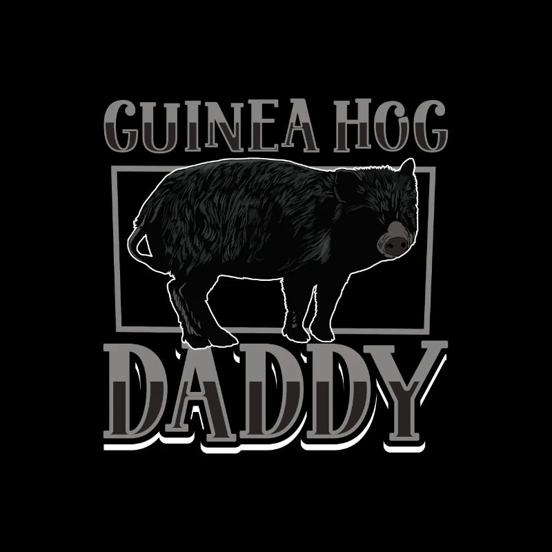 Papa cochon d’Inde