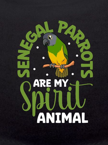 Favourite animal - Senegal parrot