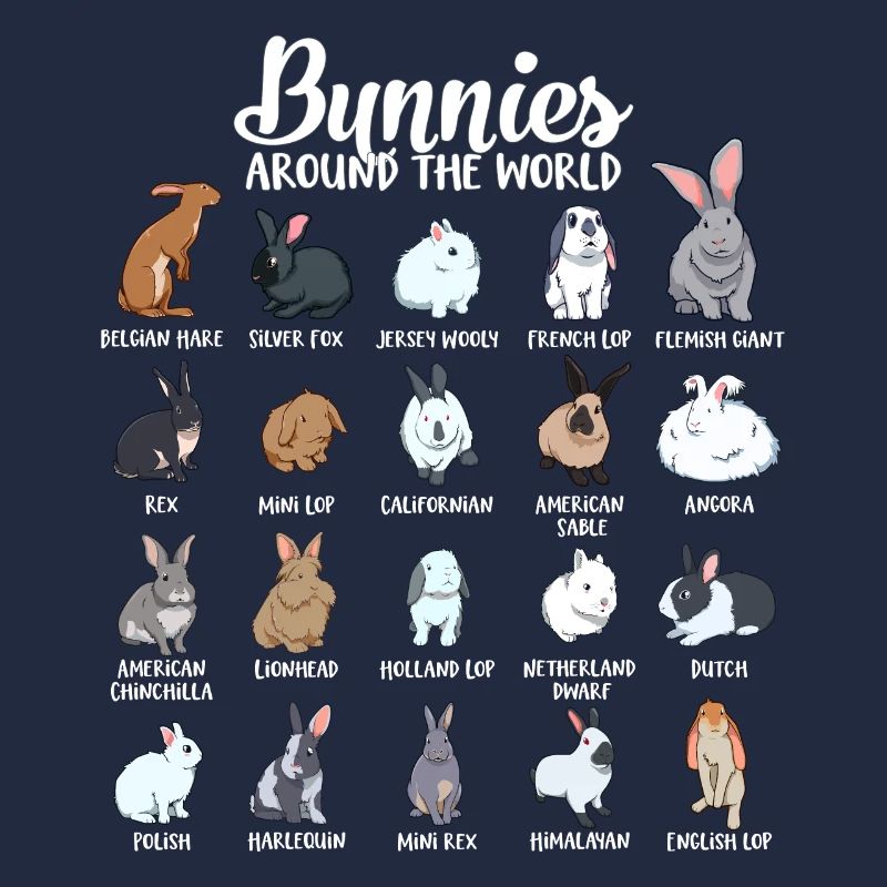 Lapins du monde - Lapin