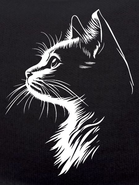 Silhouette de chat