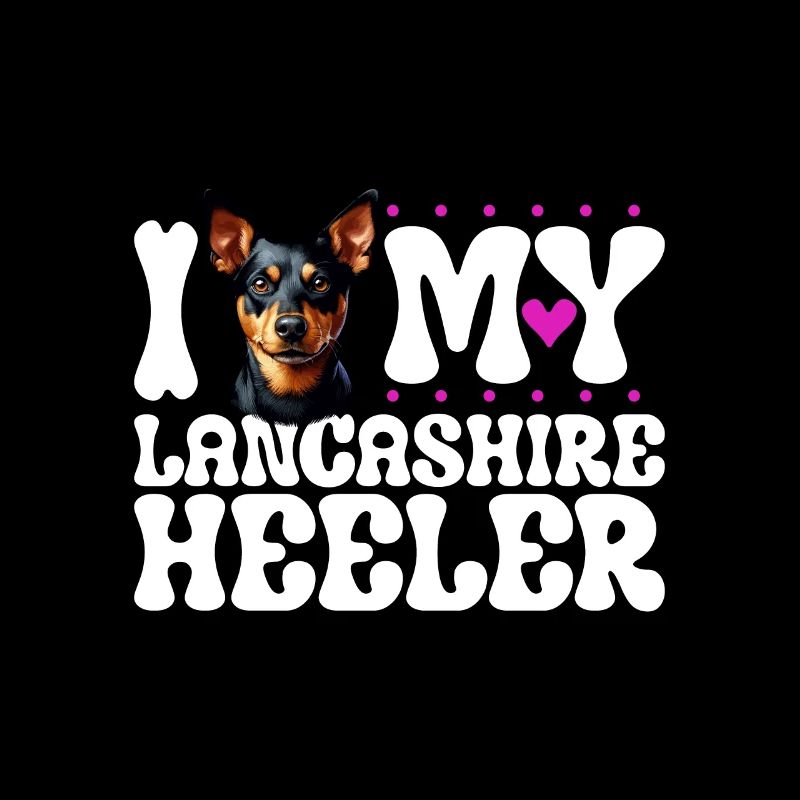 Ich liebe meinen Lancashire Heeler