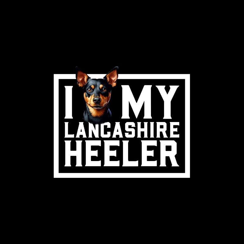 J’adore mon Lancashire Heeler