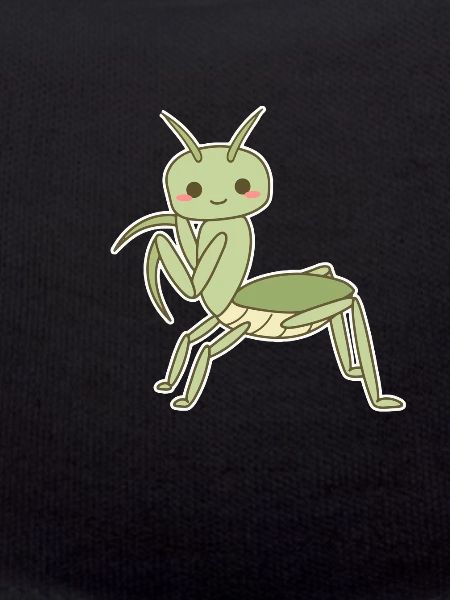 Elegant Praying Mantis