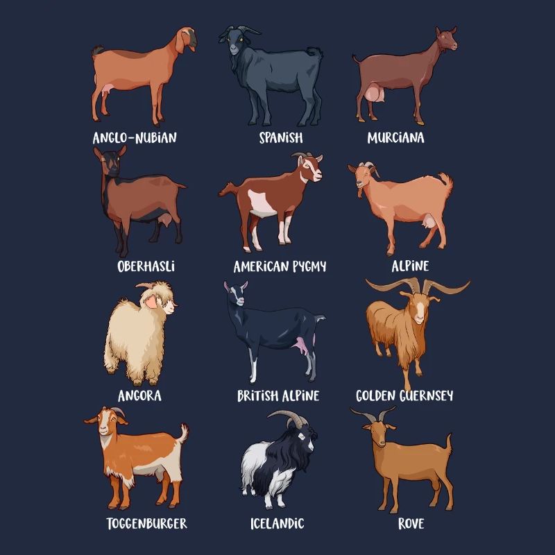 Assorted Kawaii Goats