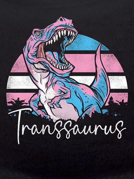 Transgender Trans LGBT Pride
