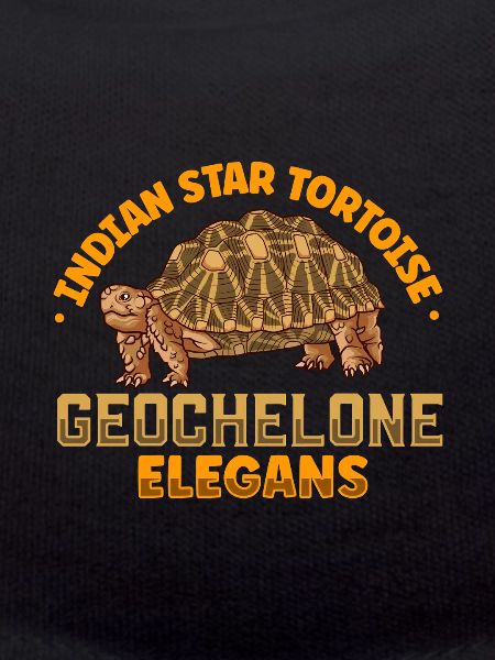 Star Tortoise