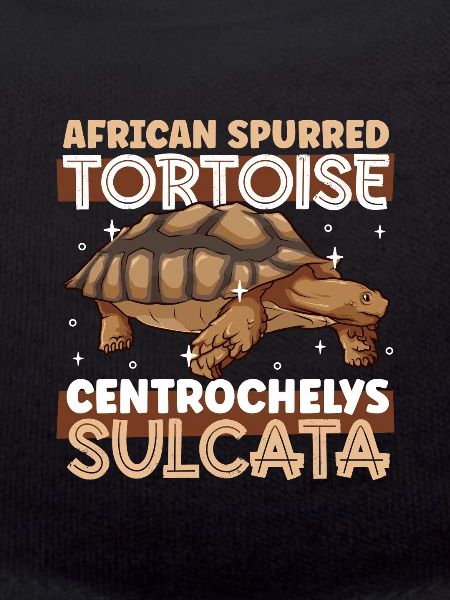 spurred tortoise