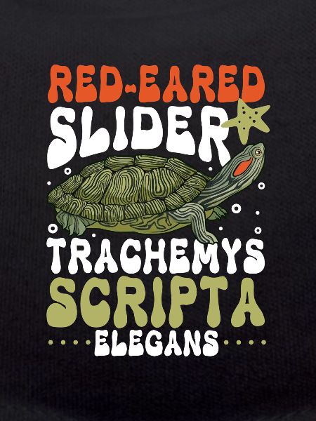 Red-eared Turtle