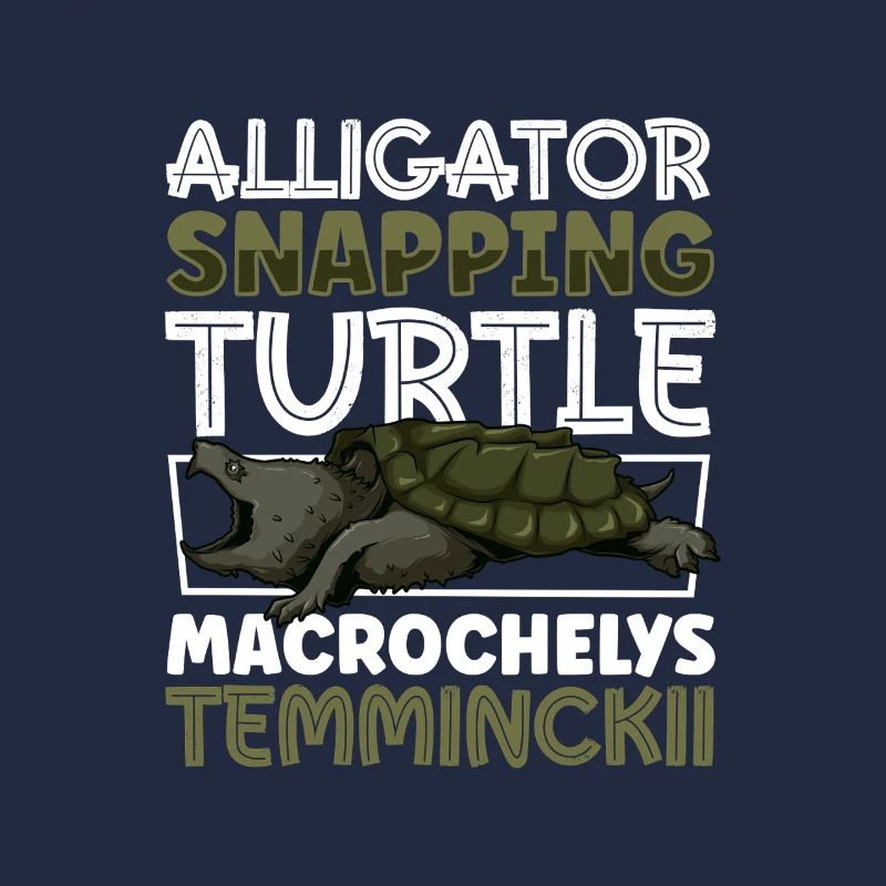 Alligator turtle
