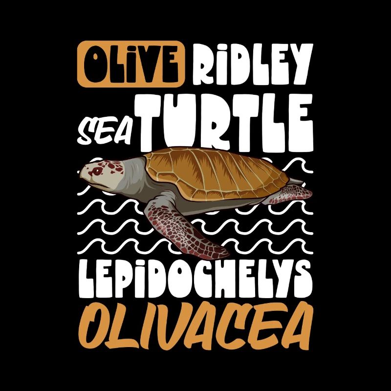 Tortue Ridley du Pacifique