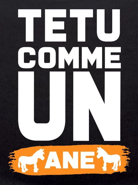 TEXTOU COMME UN ANE