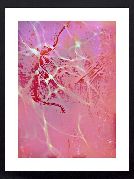 Abstract Pink Reflections