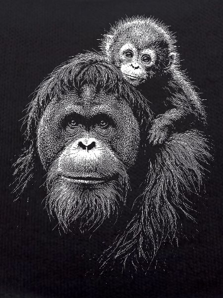 Orangutan Mutter mit Jungem Silhouette