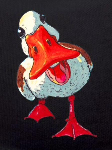 Duck