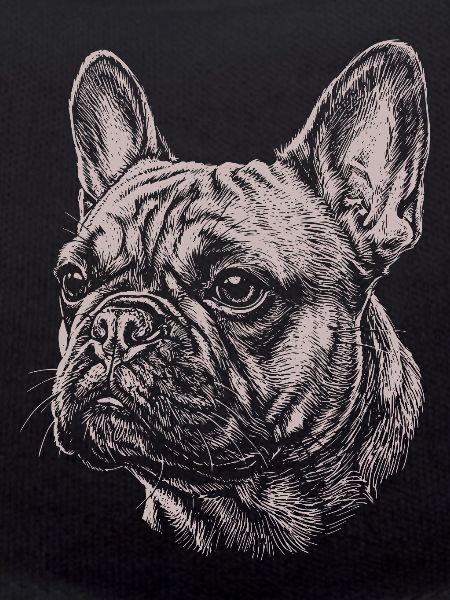 Bouledogue Français - Illustration