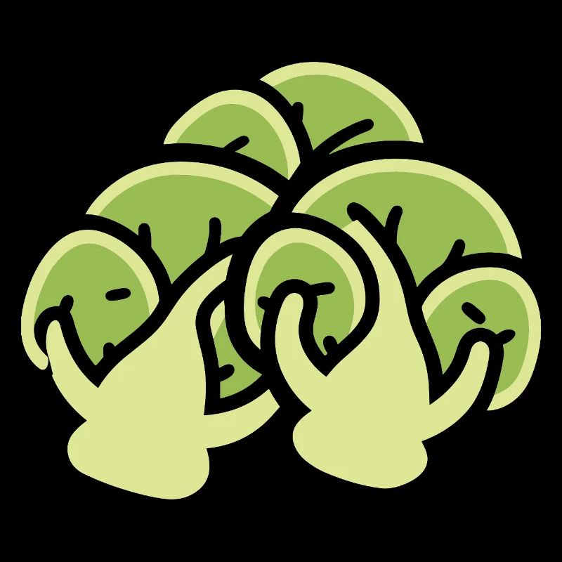 Chou de Bruxelles