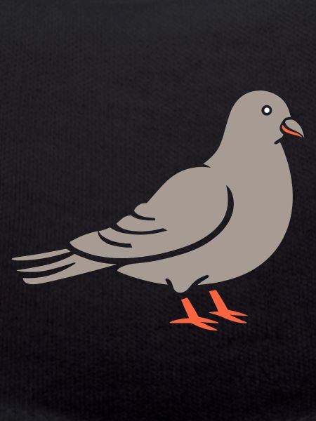 pigeon