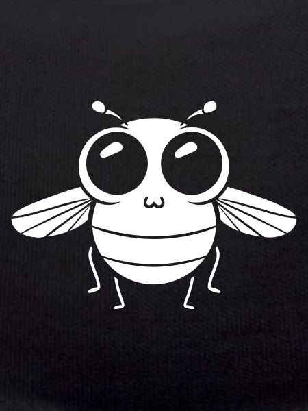 Fly