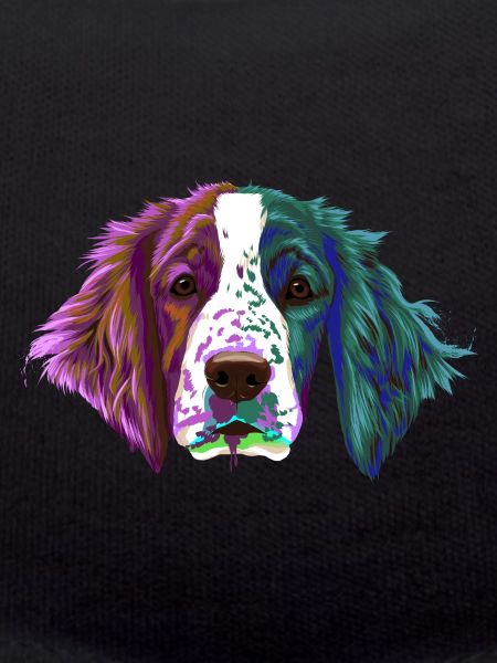 Splash Welsh Springer Spaniel chien