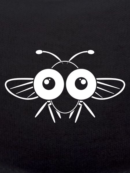 Fly