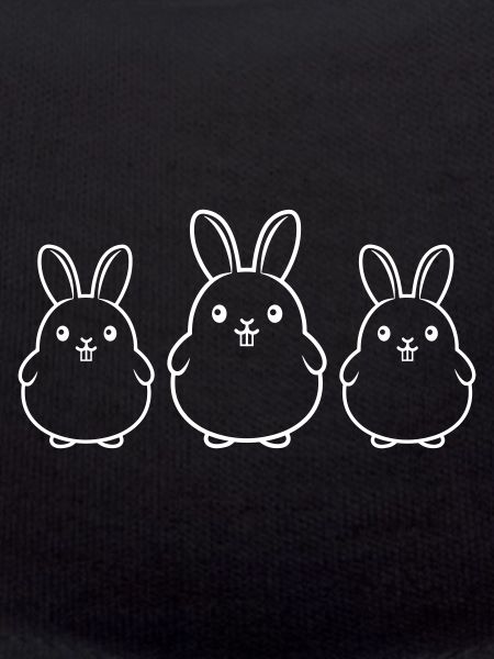 L’équipe des lapins