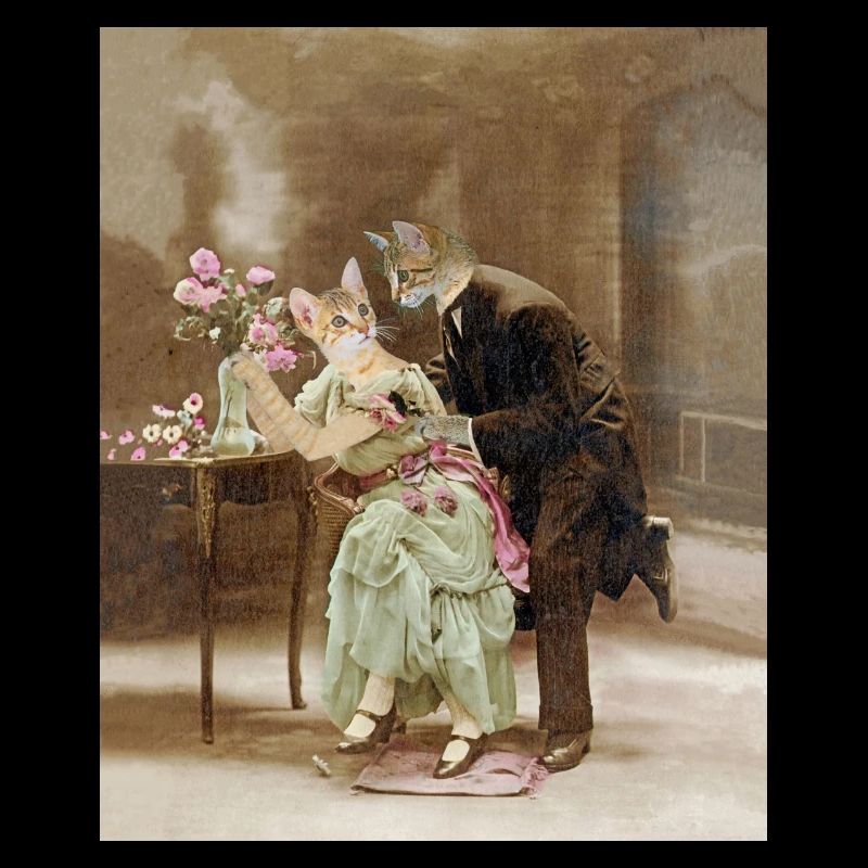 "Chats amoureux 1900, interrogeons les fleurs"