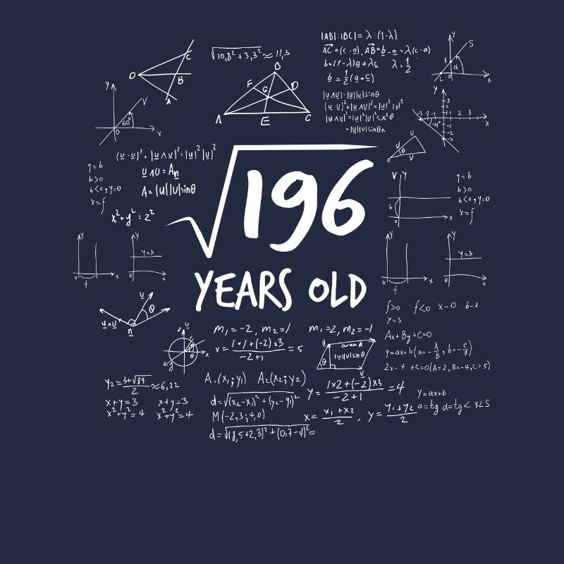 14ème anniversaire de 196 Mathématiques Nerd Math