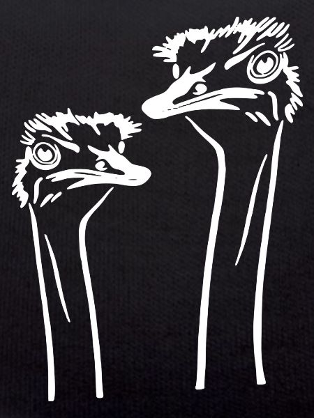 two ostriches