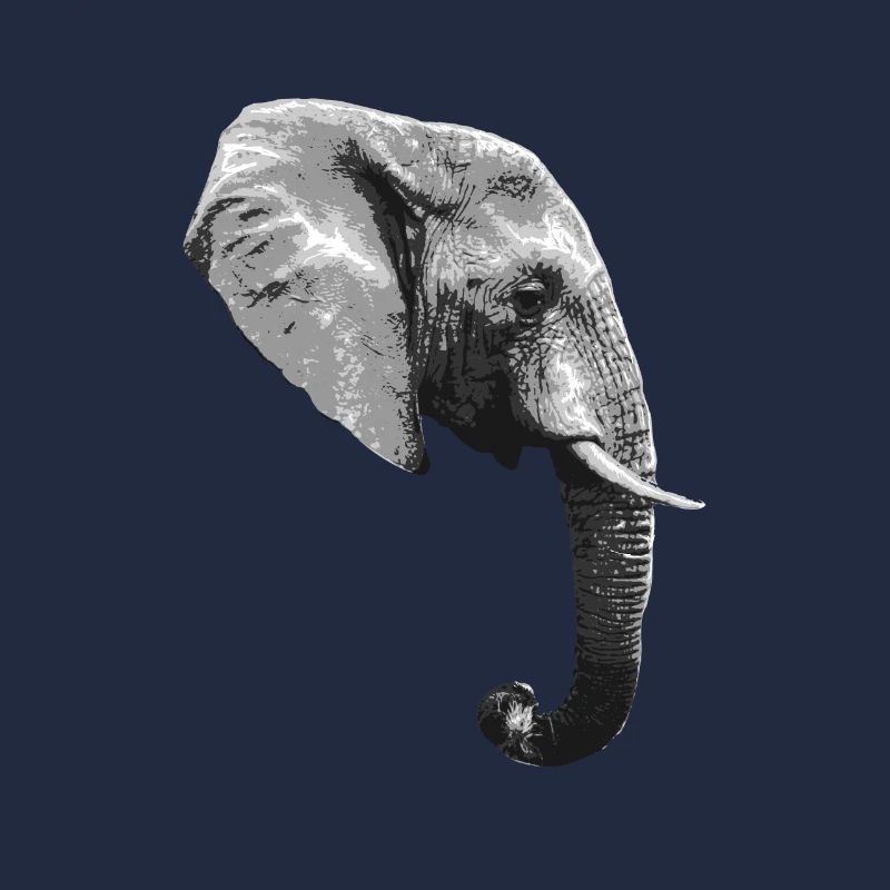 Elephant Head Animal Proboscis Elephant