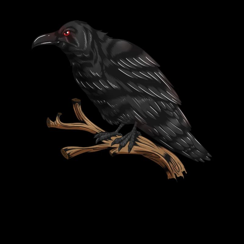Corbeau à plumes noires Corneille chanteuse rusée