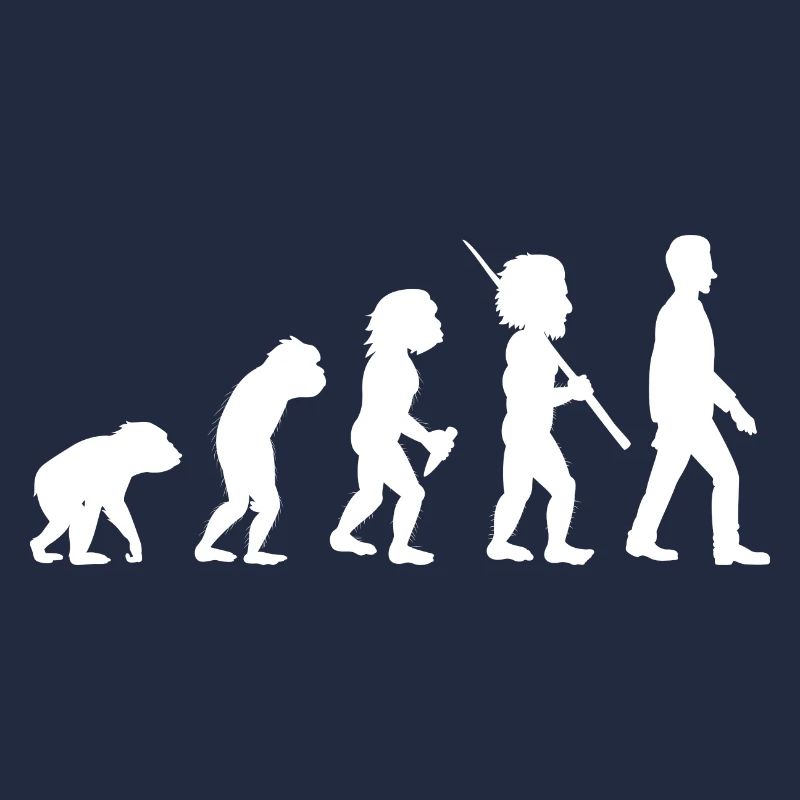 Evolution, development, job, office