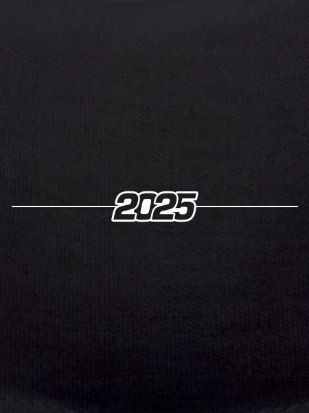 2025 year