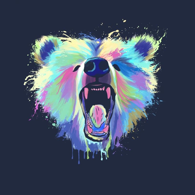 Splash Brown Bear Gift Ours Grizzly Nature