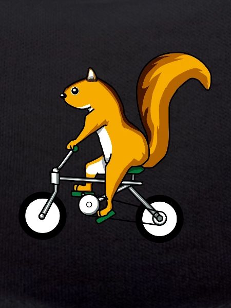 Eichhörnchen Fahrrad Streifenhörnchen Nagetier