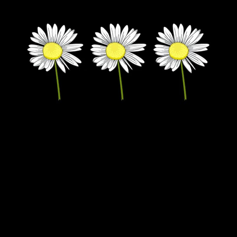 Gänseblümchen Blume Blumig Margeriten Garten