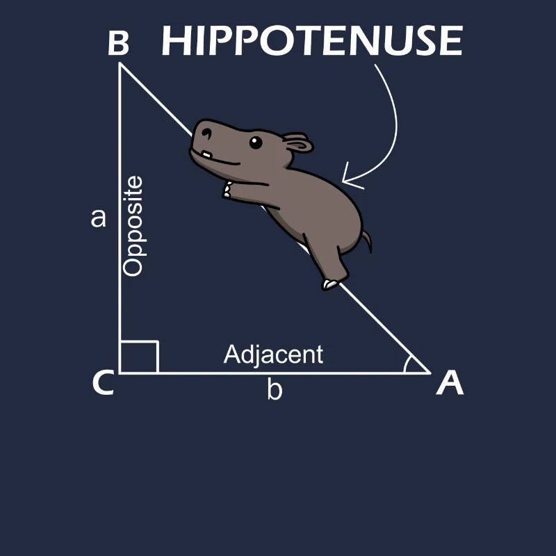 Math Hippotenuse Hypotenuse Math Teacher