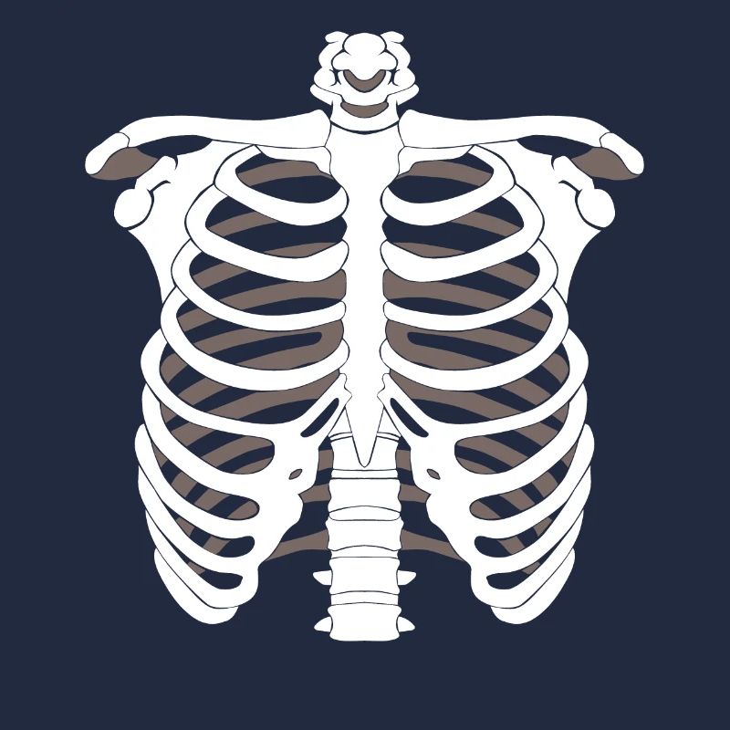 Skeleton skeleton Halloween bone skeleton skeleton