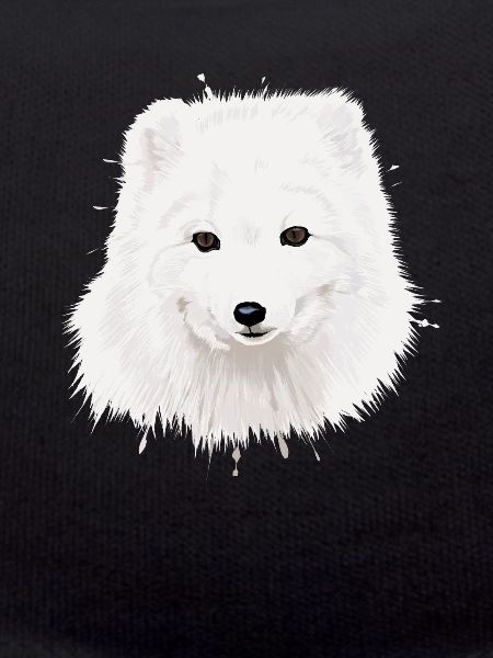 Arctic Fox