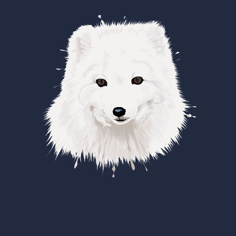 renard arctique